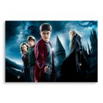 تابلو شاسی طرح فیلم هری پاتر Harry Potter مدل NV0402