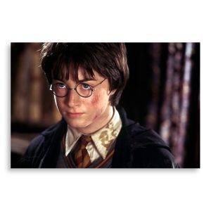 تابلو شاسی طرح فیلم هری پاتر Harry Potter مدل NV0415