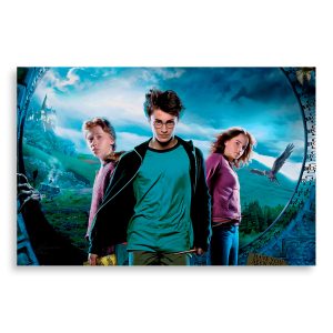 تابلو شاسی طرح فیلم هری پاتر Harry Potter مدل NV0396