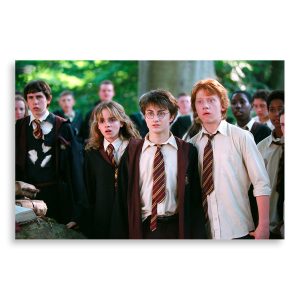 تابلو شاسی طرح فیلم هری پاتر Harry Potter مدل NV0386