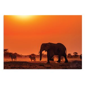 تابلو شاسی طرح حیوانات - فیل و گوره خر در حیات وحش Elefant & Zebra Wildlife مدل NV0909