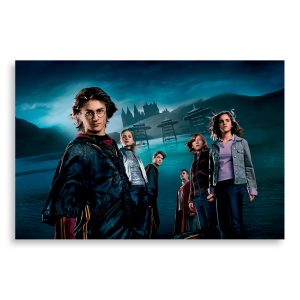 تابلو شاسی طرح فیلم هری پاتر Harry Potter مدل NV0397