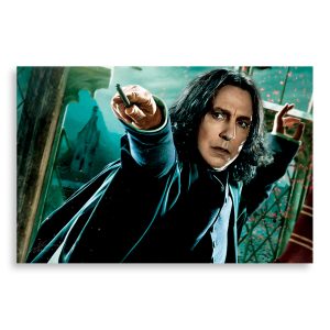 تابلو شاسی طرح فیلم هری پاتر Harry Potter مدل NV0383