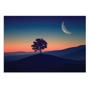 تابلو شاسی طرح درخت تنها و عصر تاریک Alone Tree in Dark Evening  مدل NV0885