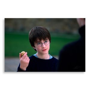 تابلو شاسی طرح فیلم هری پاتر Harry Potter مدل NV0414