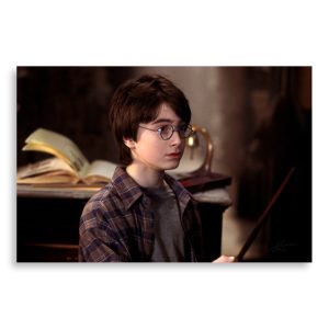 تابلو شاسی طرح فیلم هری پاتر Harry Potter مدل NV0413