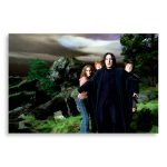 تابلو شاسی طرح فیلم هری پاتر Harry Potter مدل NV0385