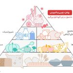 کنسرو لوبیا چیتی با قارچ دلوسه - 400 گرم